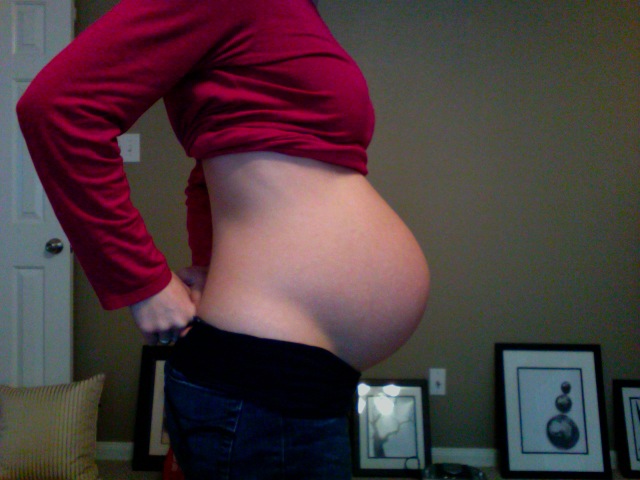 24 Weeks Pregnant with the Twins